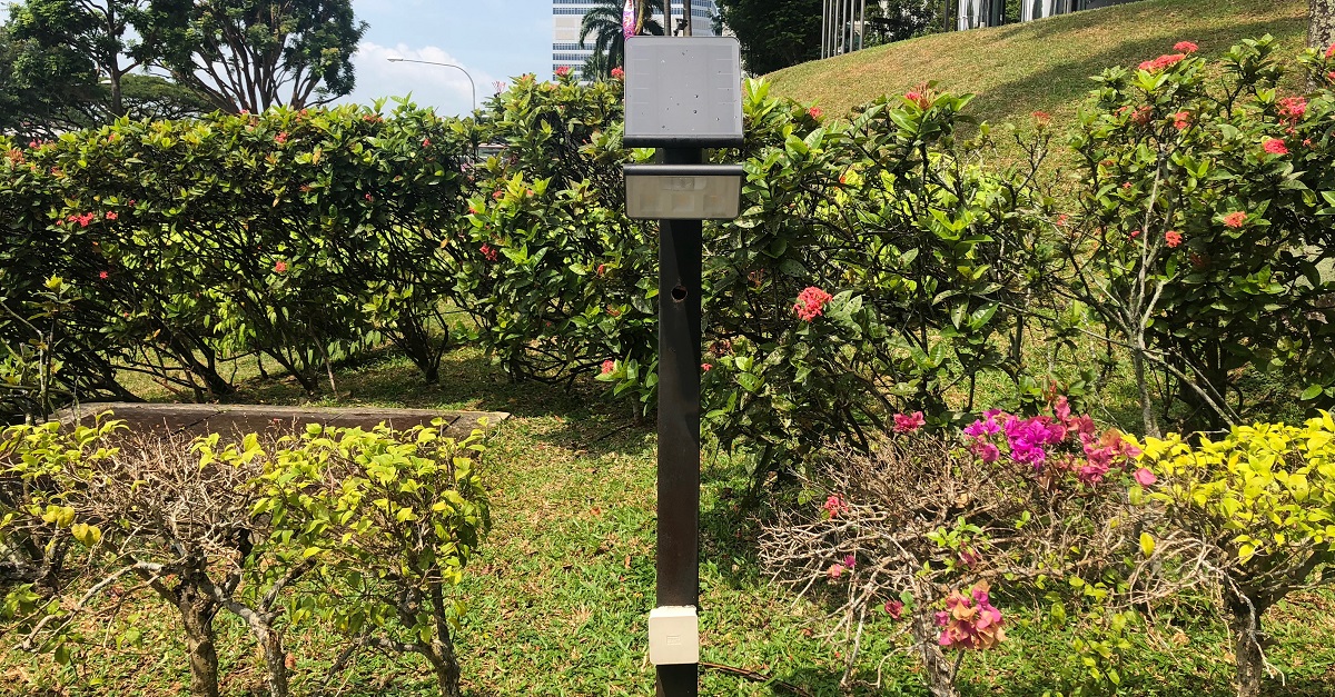 One of the many solar panels lining the pathway outside the property   