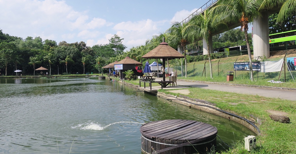 Singaporeans can experience fishing without heading out to sea at Orto, located between Yishun and Khatib on the North South MRT Line.