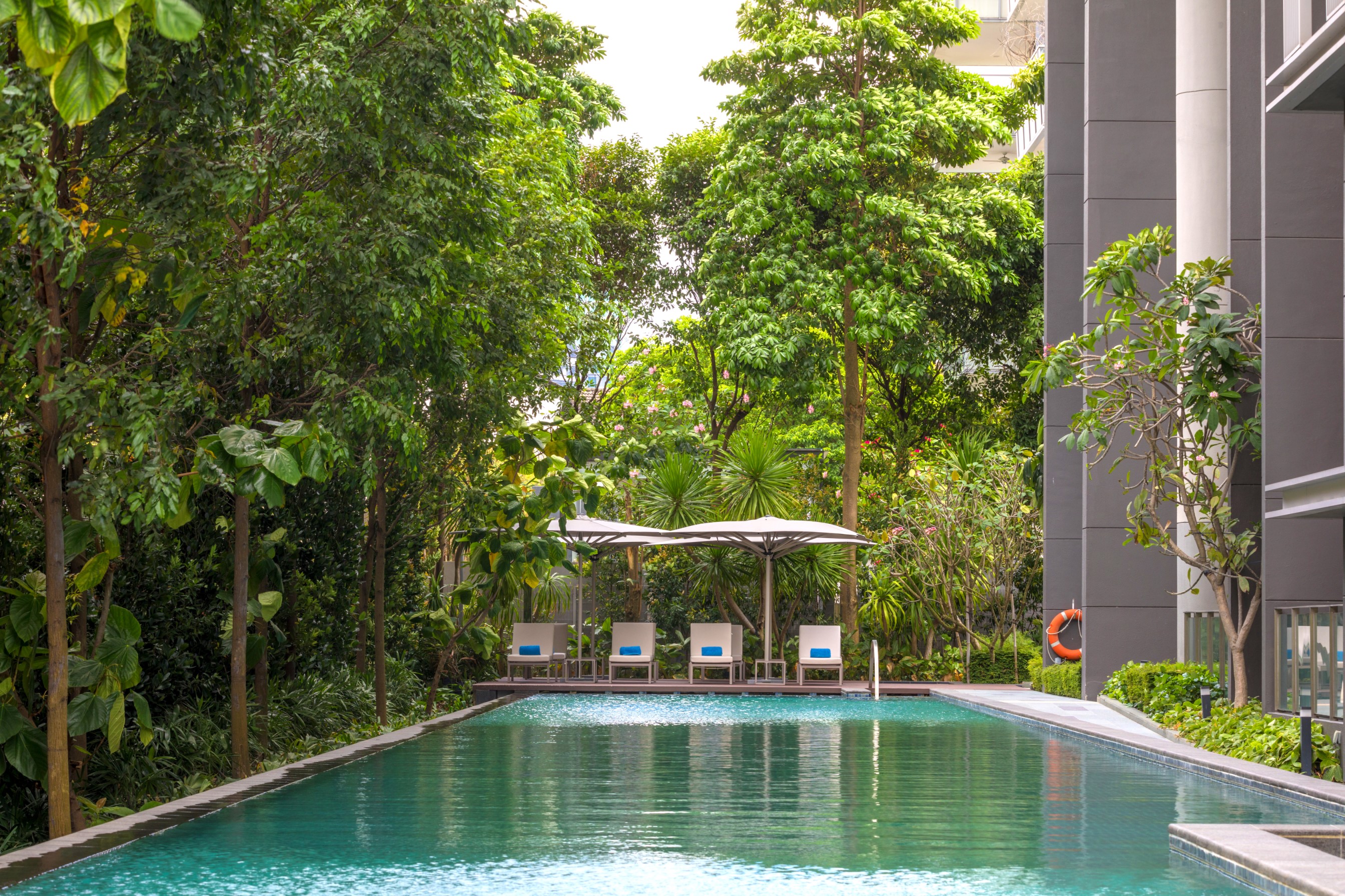 Lap pool at a serviced residence