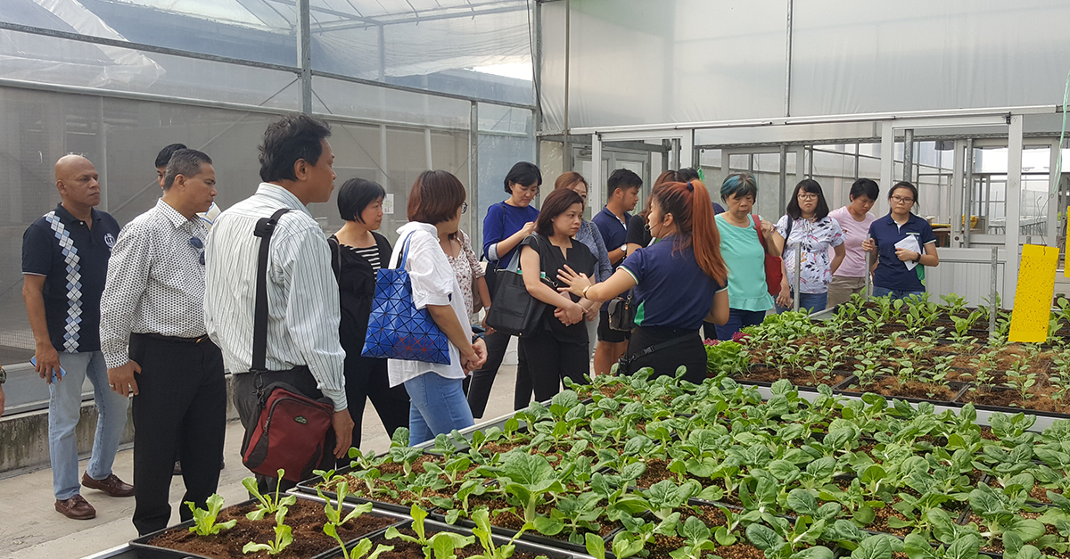 Participants getting a tour of the greenhouse.